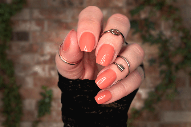 Honey Persimmon