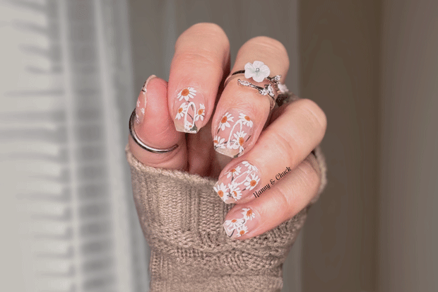 Dear Daisy (Overlay)